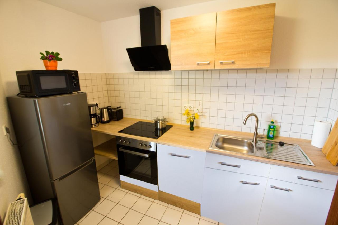 Ferienwohnung Tukan Apartment Dresden Laubegast Wlan Tv Ebike Exteriör bild